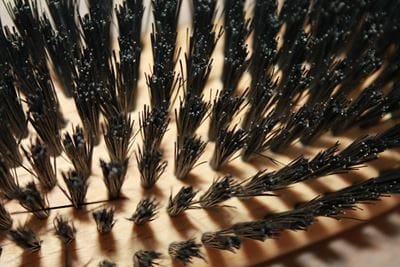 Wildschweinborstenbürste erster Schnitt