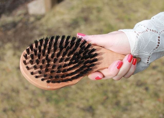 Wildschweinborstenbürsten Haarbürsten Vorteile
